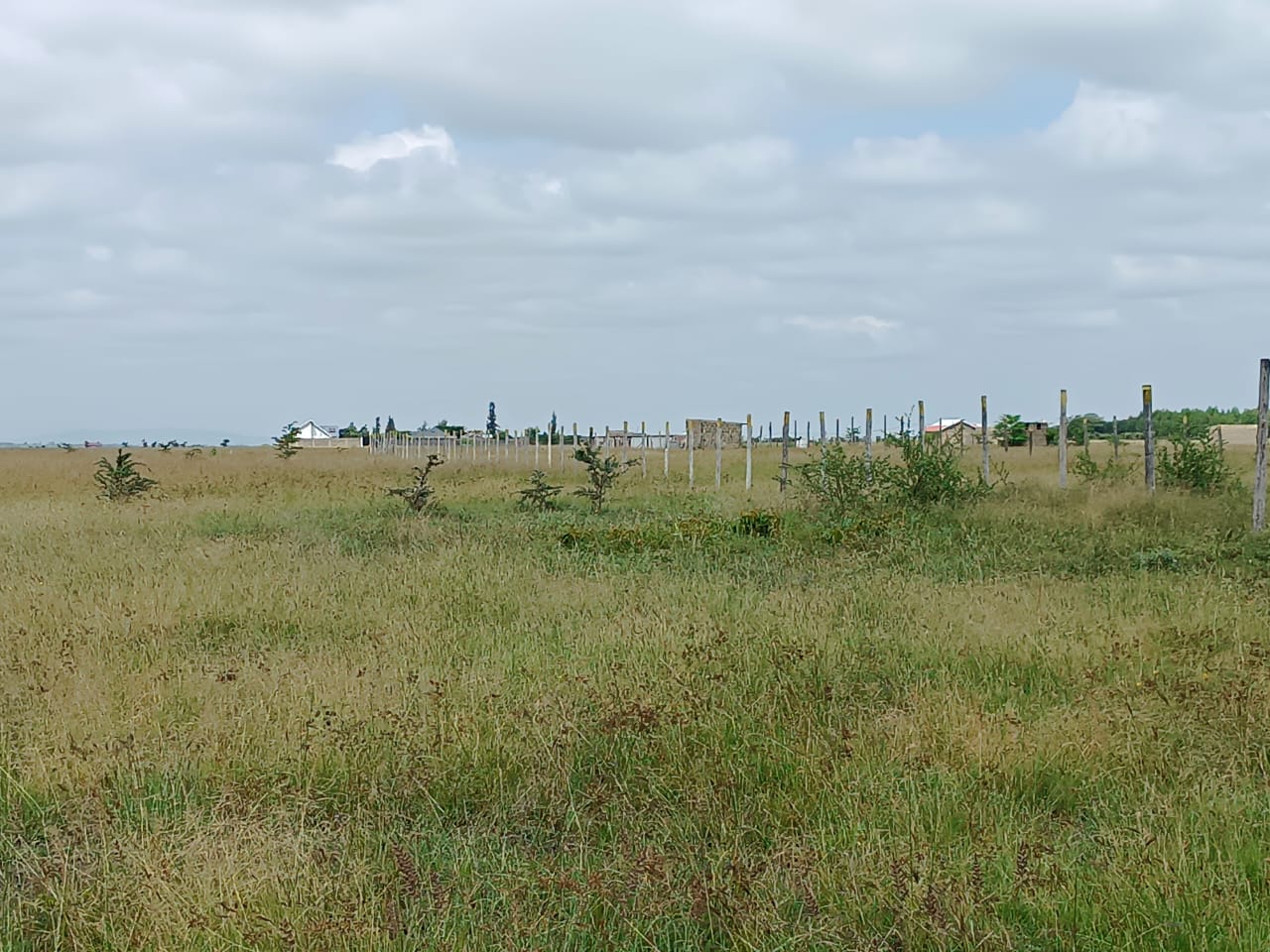 Land Project 3 Image 2